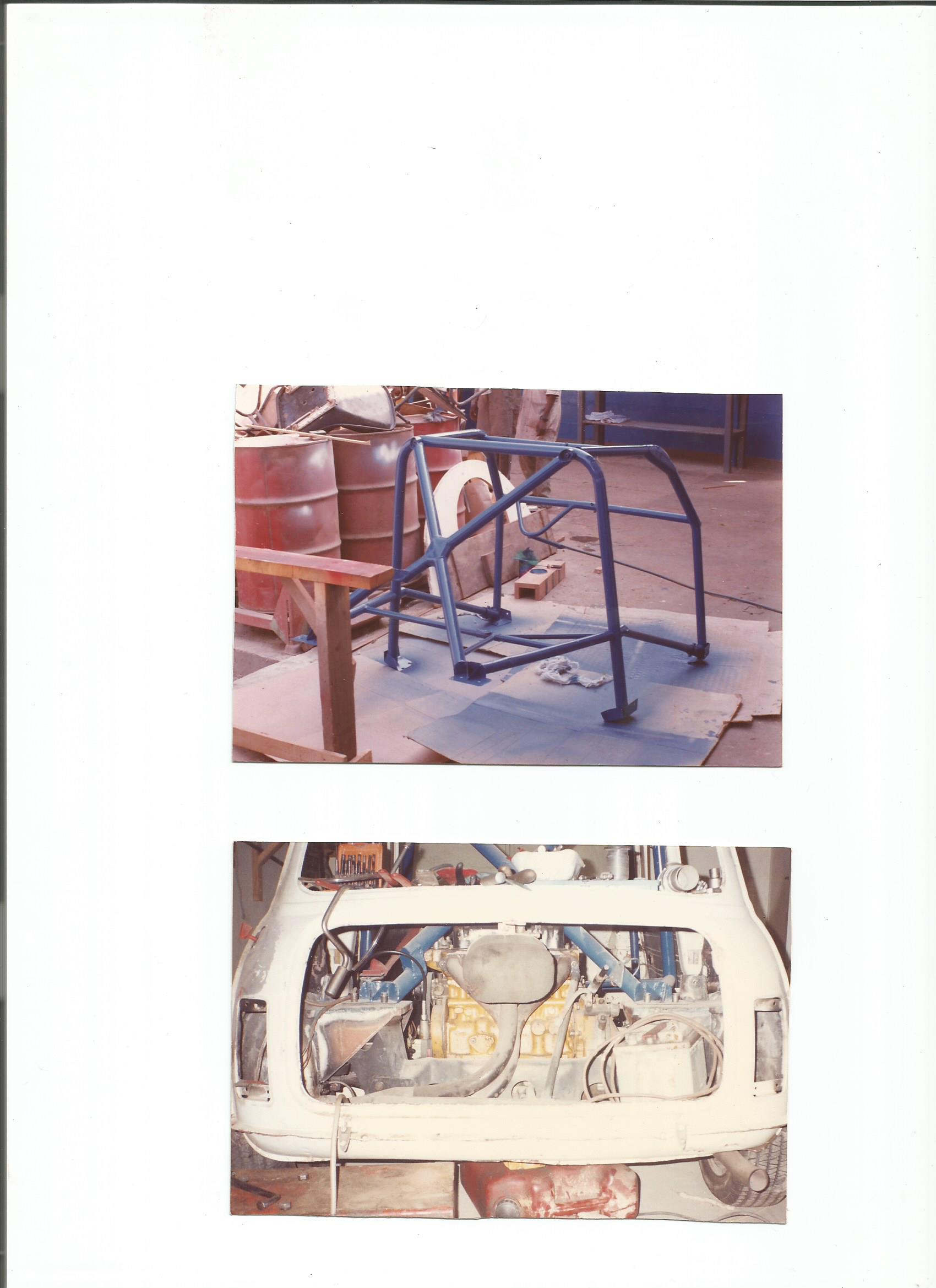 Twinni + cage 001.jpg