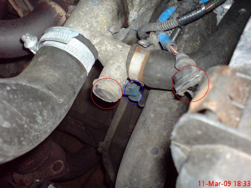 Coolant temp sensors.JPG