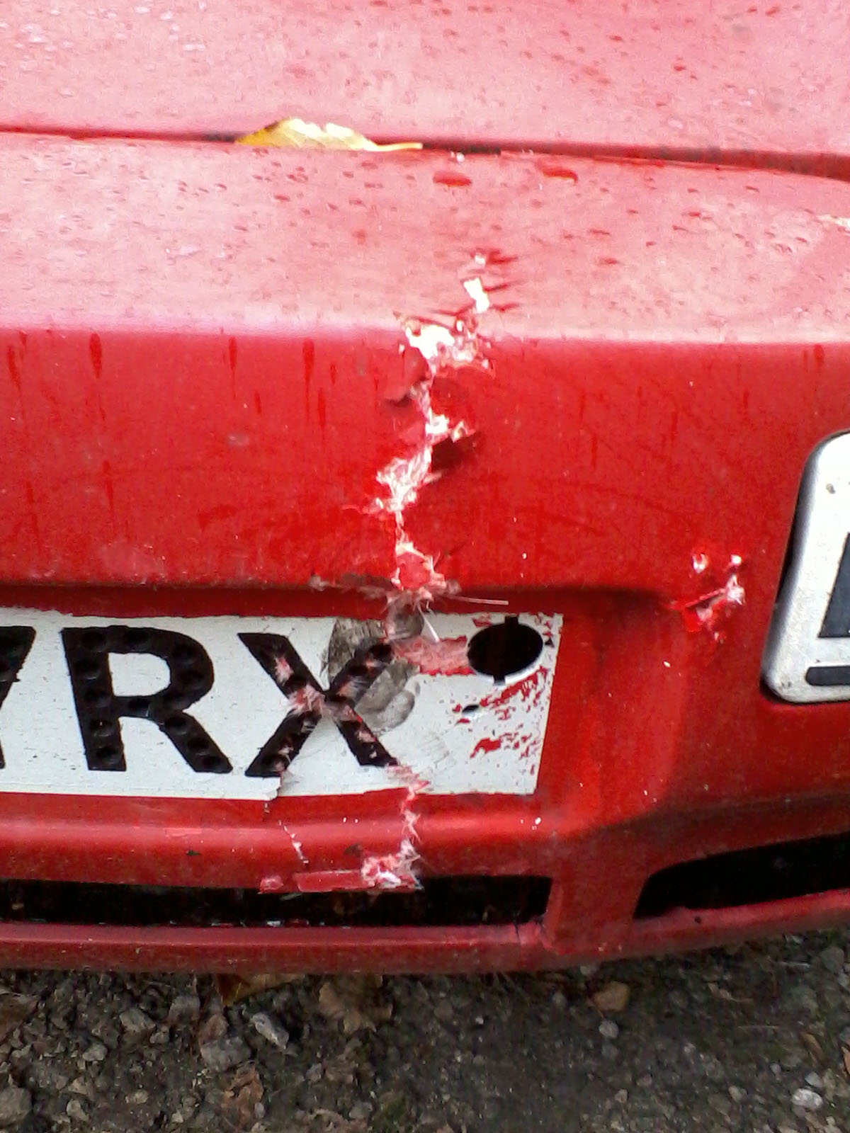 2011-11-21 15.25.20.jpg